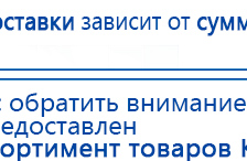 СКЭНАР-1-НТ (исполнение 02.1) Скэнар Про Плюс купить в Ухте, Аппараты Скэнар купить в Ухте, Скэнар официальный сайт - denasvertebra.ru